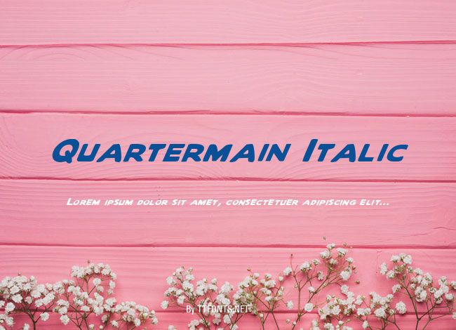 Quartermain Italic example
